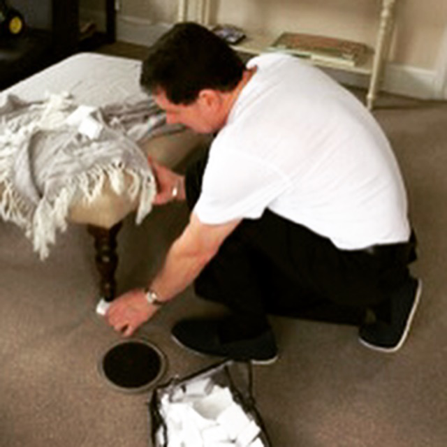 Company A1 Carpet Cleaners